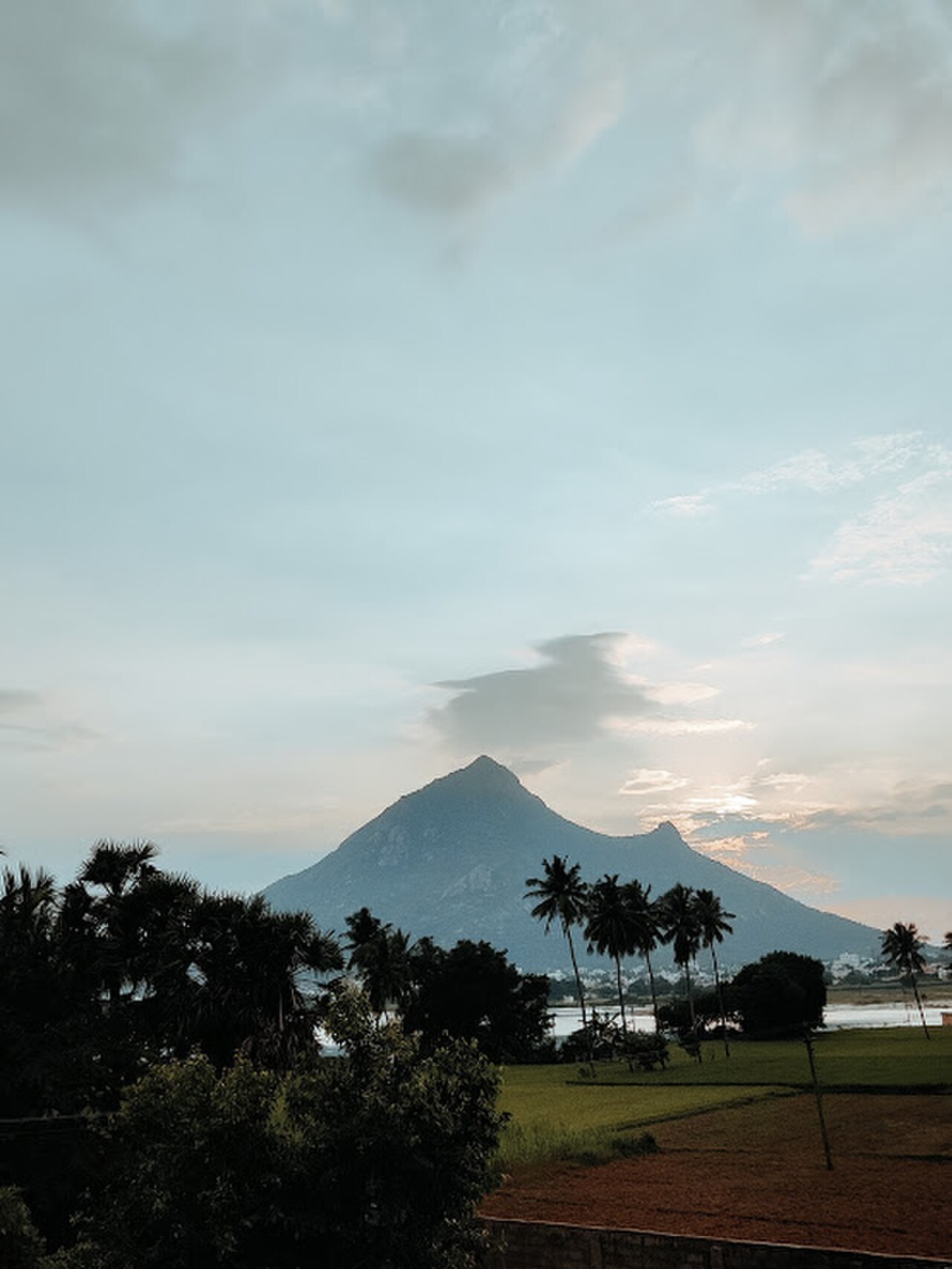 Arunachala Hill at dawn, Tiruvannamalai